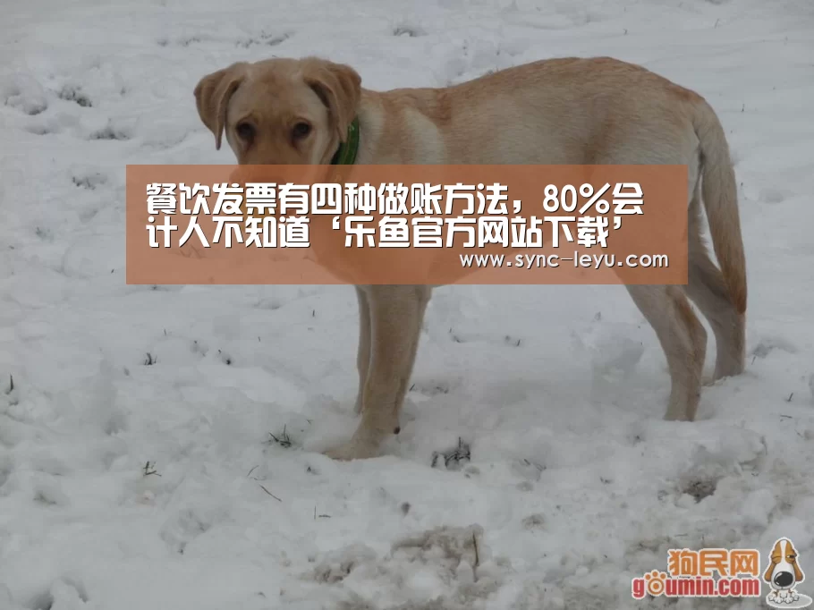 餐饮发票有四种做账方法,80%会计人不知道‘乐鱼官方网站下载’(图2) 乐鱼体育在线登陆