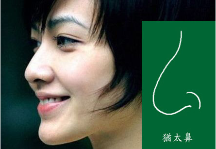 乐鱼体育在线登陆