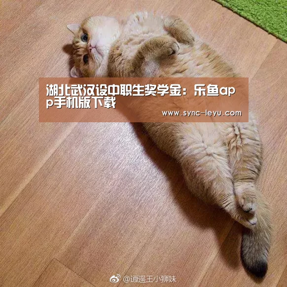 乐鱼体育平台网址