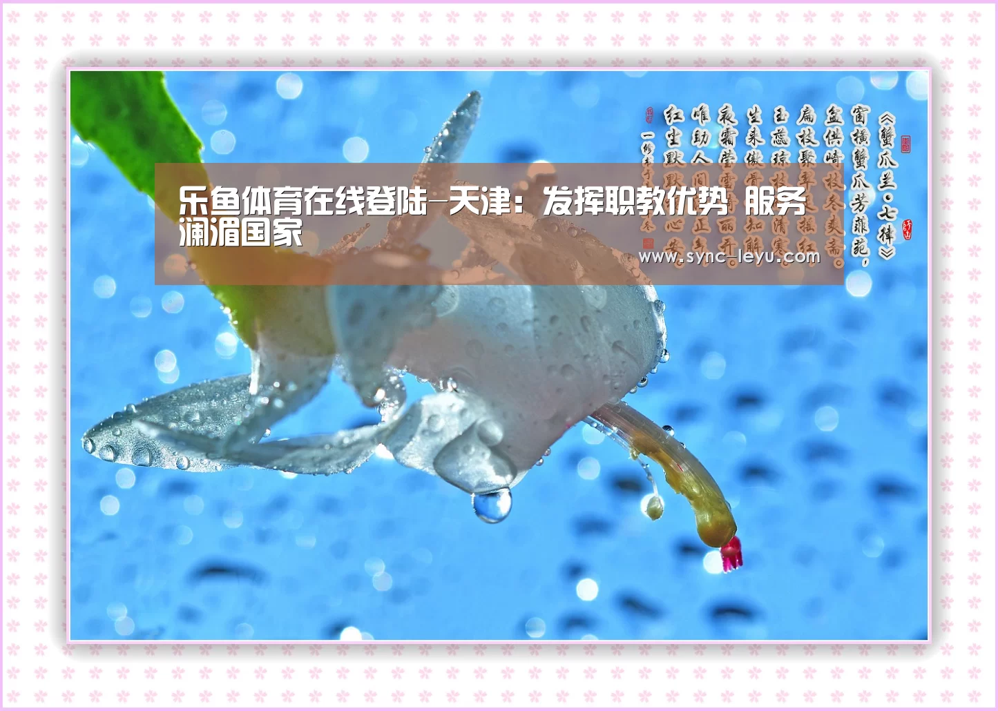 乐鱼官方网站下载