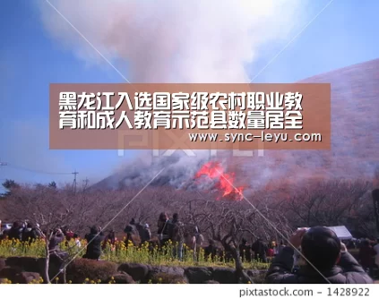 乐鱼体育平台网址