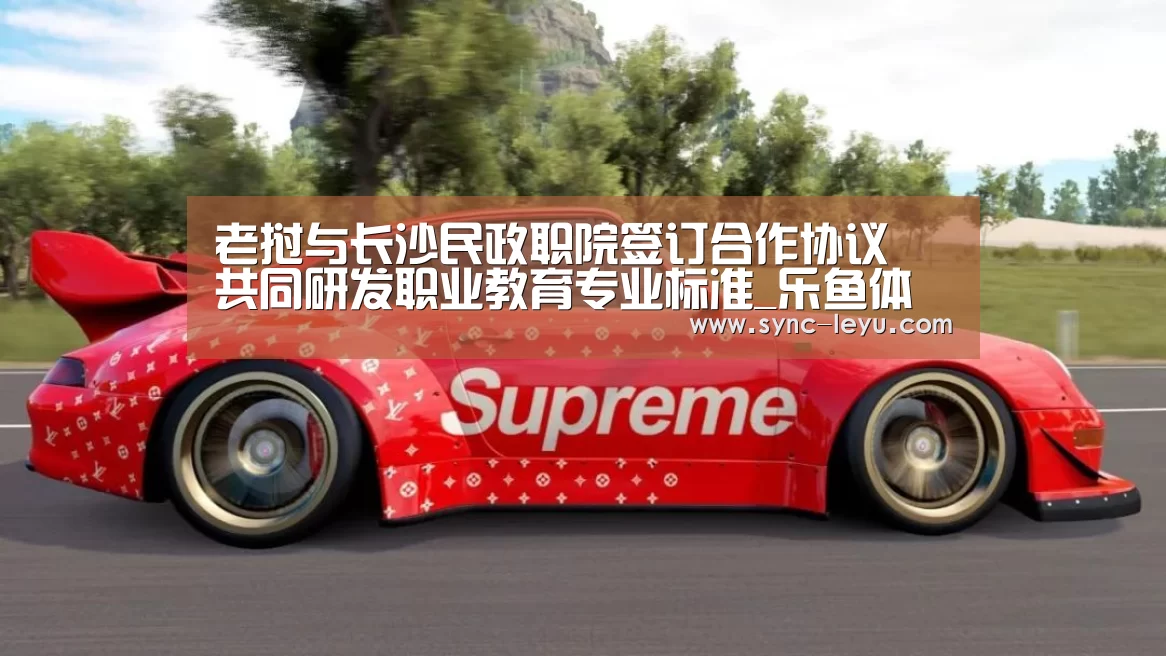 老挝与长沙民政职院签订合作协议 共同研发职业教育专业标准_乐鱼体育平台网址(图2) 乐鱼体育平台网址