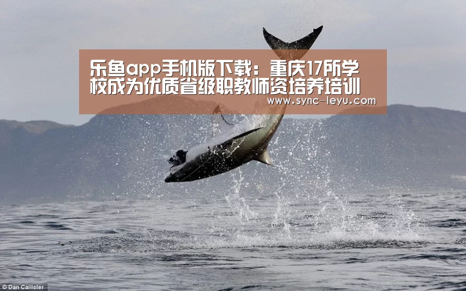 乐鱼app手机版下载:重庆17所学校成为优质省级职教师资培养培训基地(图1) 乐鱼app手机版下载