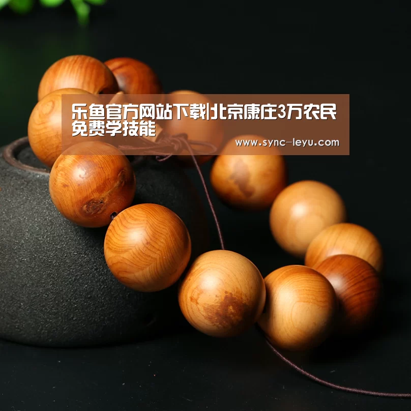 乐鱼官方网站下载|北京康庄3万农民免费学技能(图3) 乐鱼体育在线登陆
