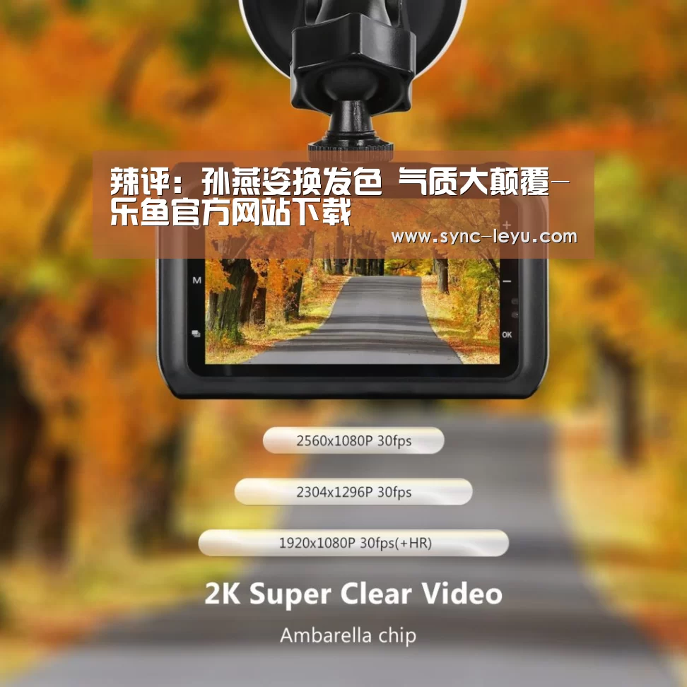 辣评:孙燕姿换发色 气质大颠覆-乐鱼官方网站下载(图3) 乐鱼app手机版下载